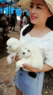 小姐姐脾气很臭,小姐姐的火爆日常