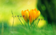 励志积极正能量的句子,汲取正能量，铸就辉煌人生