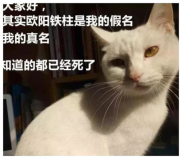 搞笑的名字让人笑喷,盘点那些让人笑喷的搞笑名字