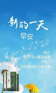 每日一言正能量句子,激励心灵，点亮人生